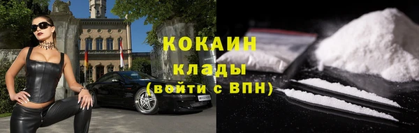 ПСИЛОЦИБИНОВЫЕ ГРИБЫ Костерёво