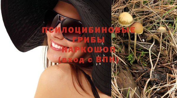 скорость Корсаков