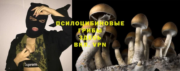 ПСИЛОЦИБИНОВЫЕ ГРИБЫ Костерёво