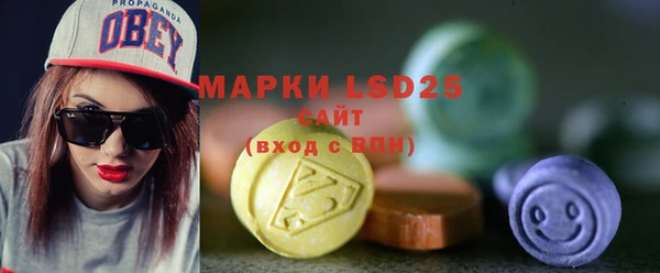 ПСИЛОЦИБИНОВЫЕ ГРИБЫ Костерёво