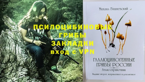 кокс Щигры