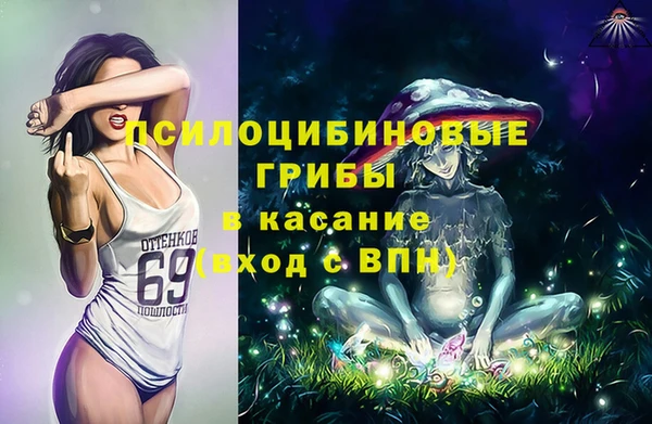 ПСИЛОЦИБИНОВЫЕ ГРИБЫ Костерёво