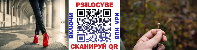МЕГА рабочий сайт  даркнет сайт  Элиста  Галлюциногенные грибы MAGIC MUSHROOMS 