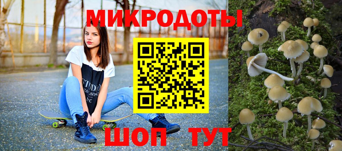 Элиста  Псилоцибиновые грибы GOLDEN TEACHER  что такое наркотик  Псилоцибиновые грибы Psilocybe  Вход с VPN 