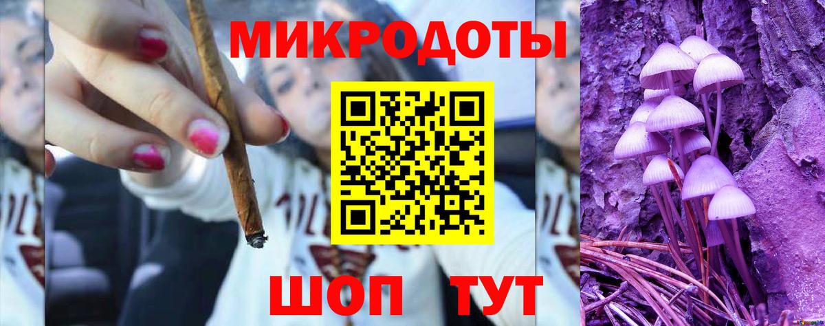 Псилоцибиновые грибы мицелий Элиста
