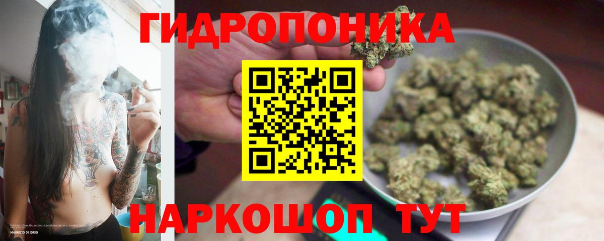 Каннабис конопля  Каннабис марихуана  Вход с VPN  Элиста  Марихуана SATIVA & INDICA 